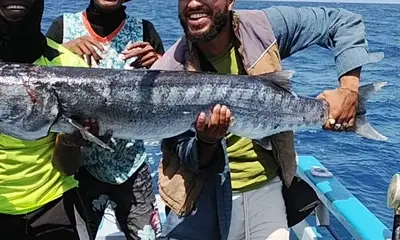 Malindi Report Video 0
