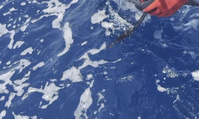 Great Fishing Trip of a lifetime!