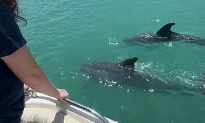 Highlight of our Vacation  