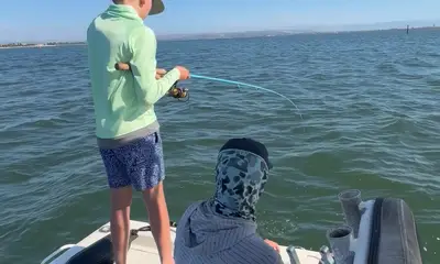 5 species!