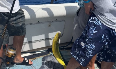 fantastic day at sea! 