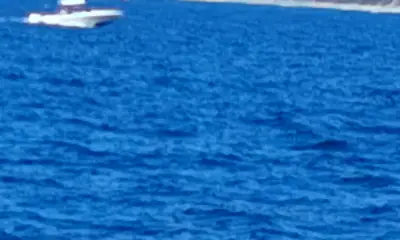 Dana Point Report Video 0