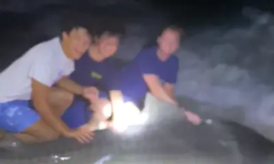 Navarre Report Video 0