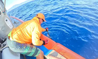 Haleiwa Report Video 0