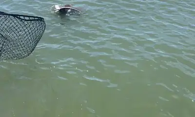 June fishing trip