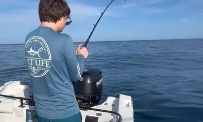 Cabo San Lucas Report Video 0