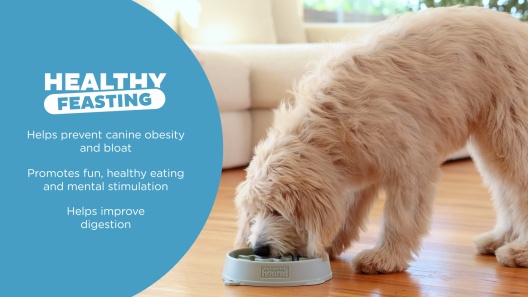 Outward Hound Fun Feeder Slow Feeder Dog Bowl