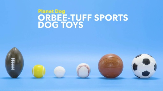 Planet Dog Orbee-Tuff White Baseball Dog Toy