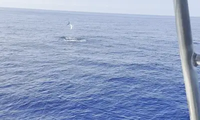 Ms Conduct is the chariot to the promise land 