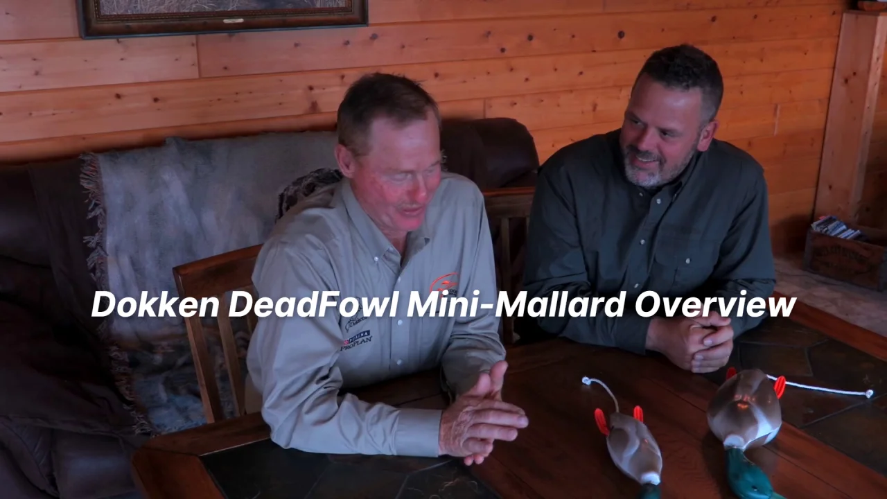 Dokken Deadfowl Puppy Trainer DM100 -- Mini-Mallard | Gun Dog Supply