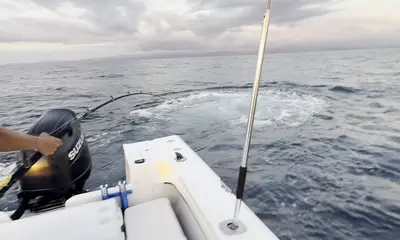 Great Day fishing - expectations exceeded!