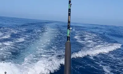 San Jose del Cabo Report Video 0