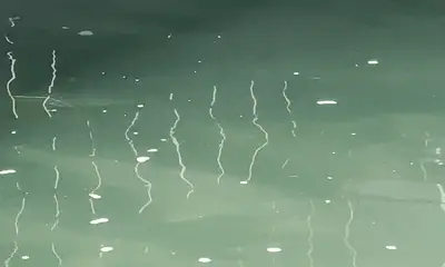 July fishing trip