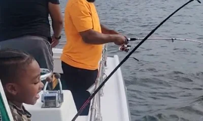 Solomons Report Video 1