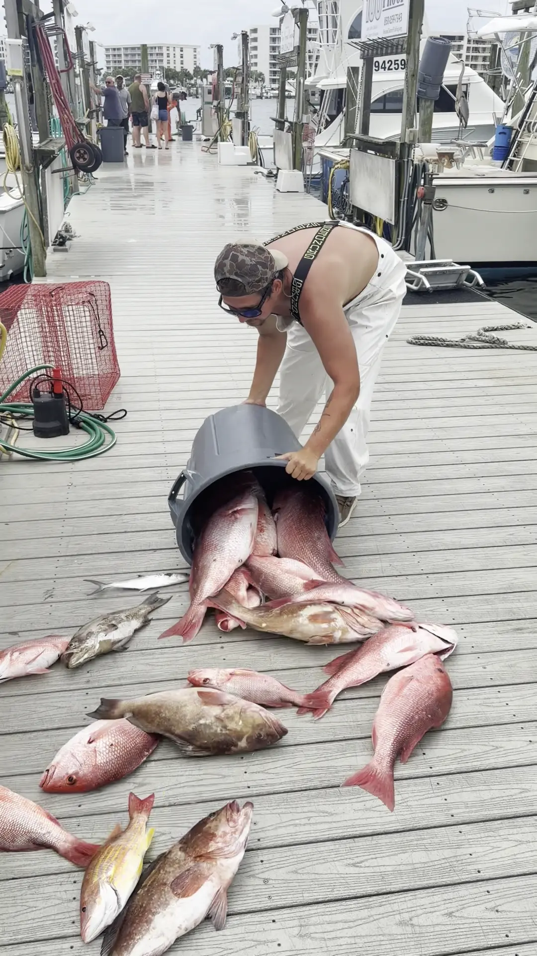 Business Card: Charter Boat Snapper Trapper