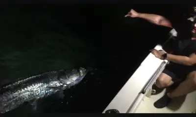 Miami Report Video 0