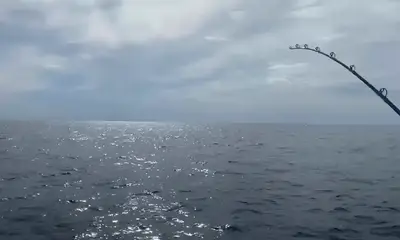 Quepos Report Video 0