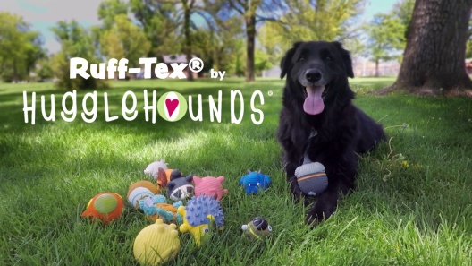 Play Video: Learn More About HuggleHounds From Our Team of Experts