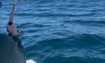 Manteo Report Video 1