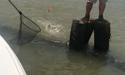 Venice Report Video 0