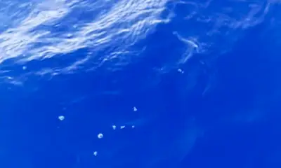 Reporte de Portugal Video 2