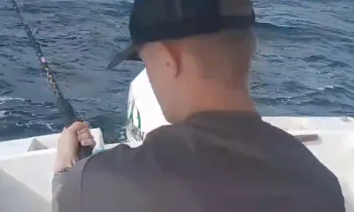 San Jose del Cabo Report Video 0