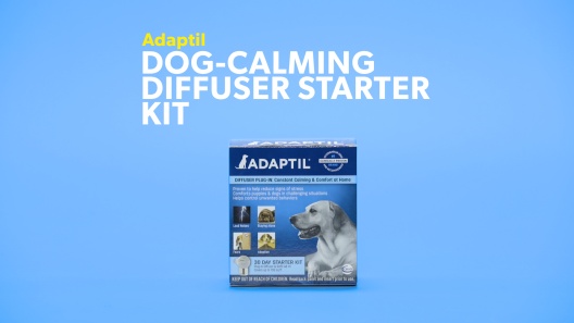 Play Video: Learn More About Adaptil From Our Team of Experts