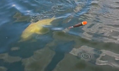 San Antonio Report Video 1