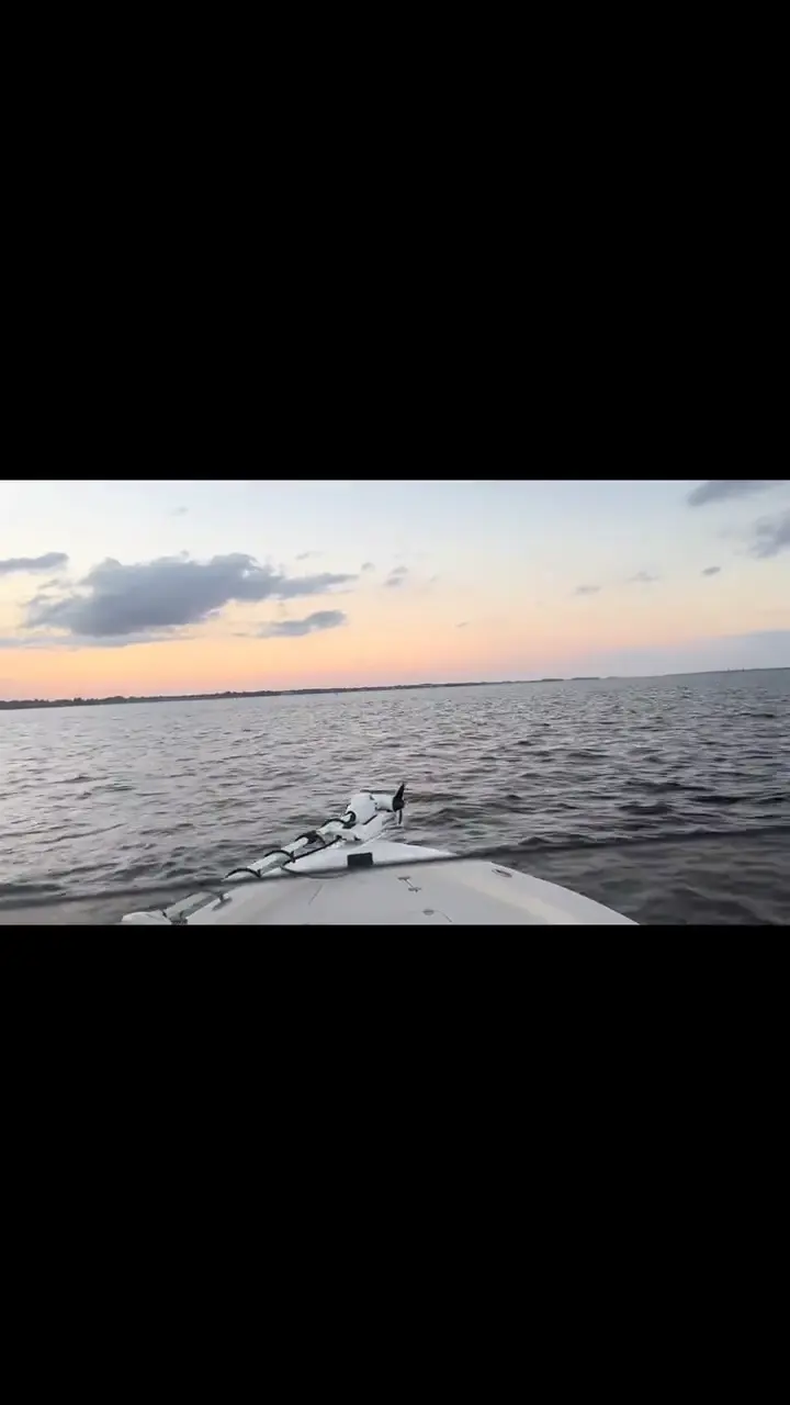Business Card: Zookeeper Charters