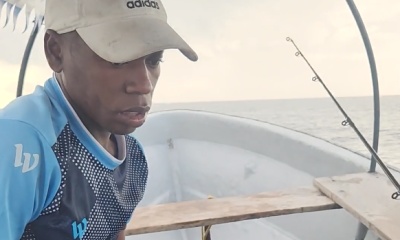 A fishy operation