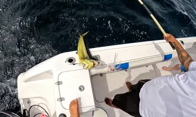 Panama City Report Video 2