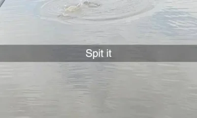 Port Orange Report Video 0