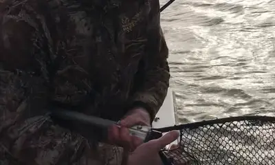 Venice Report Video 0