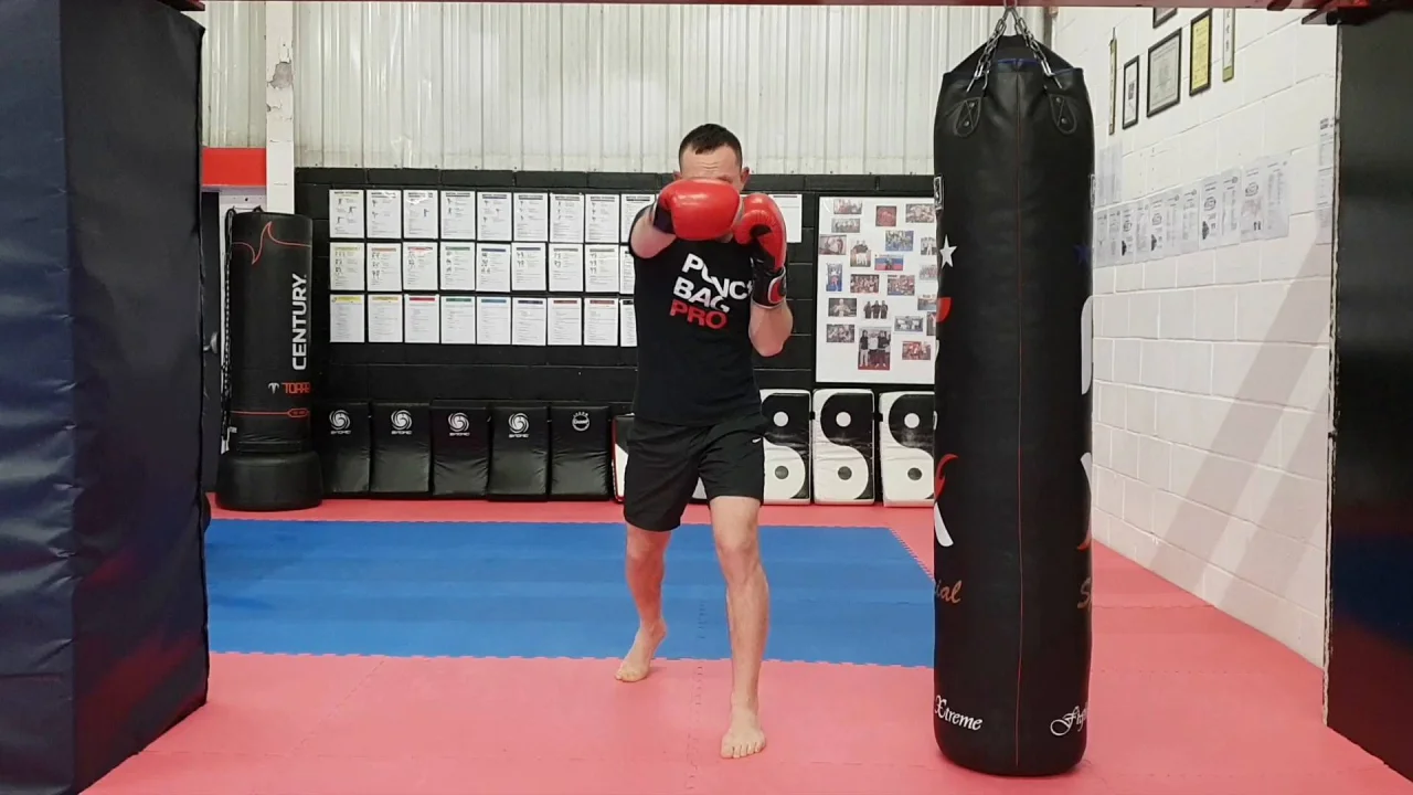 Boxing Punches - How To Throw and Get Power? - Heavy Bag Pro