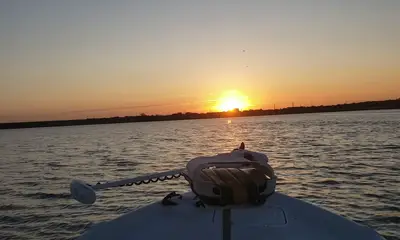 Grapevine Report Video 0