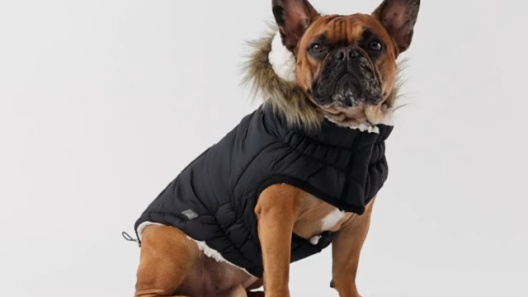 GF Pet Elasto-Fit Urban Insulated Dog Parka, Black