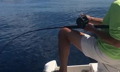 Belleair Bluffs Report Video 0
