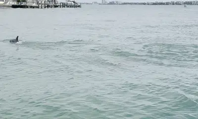 Key to a Successful Day! 