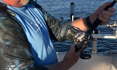 Olcott Bericht Video 1
