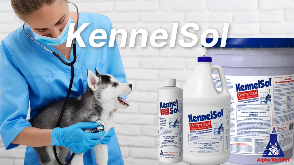 Kennel cleaning supplies best sale