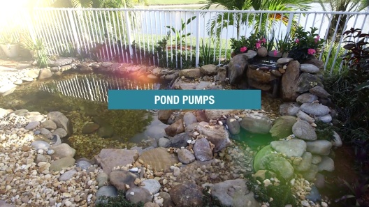 Play Video: Learn More About Pond Boss From Our Team of Experts