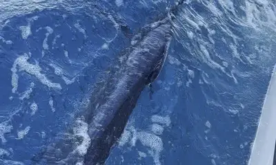 Port Canaveral Report Video 0