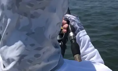 Norfolk Report Video 1