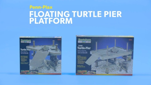 Play Video: Learn More About Penn-Plax From Our Team of Experts