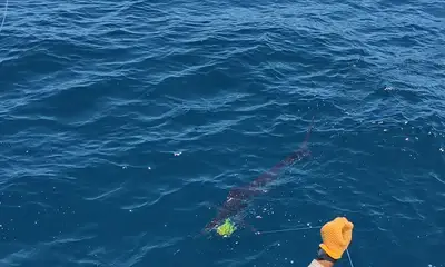 La Paz Видео отчет 0