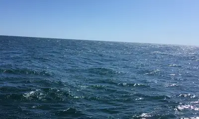 Gloucester Report Video 0