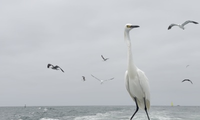 July fishing trip