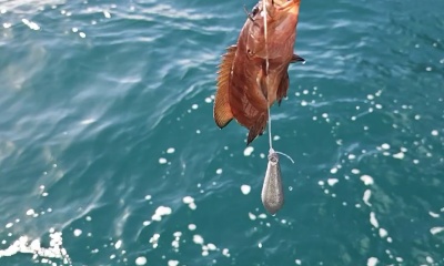 ​Great first fishing experience!