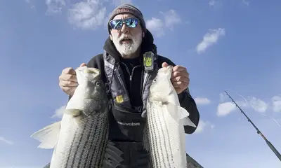 Thamsgiving day blitz is on