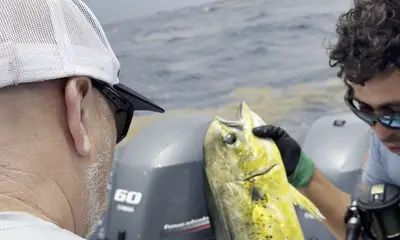 Tulum Verslag Video 1